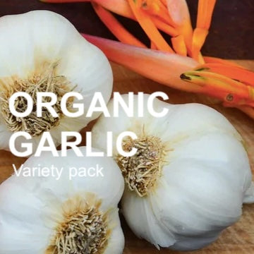 *Organic* Garlic Garden Variety Pack