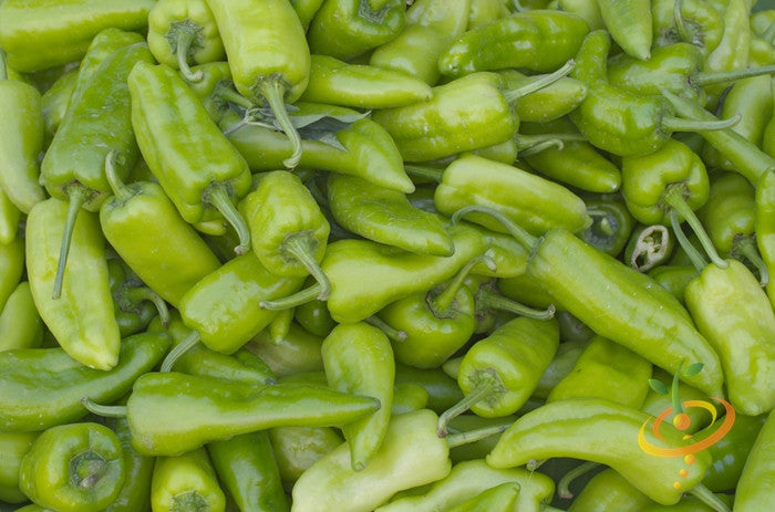 Close-up of fresh green Anaheim chili peppers piled together, ideal for growing from Anaheim Chili seeds
