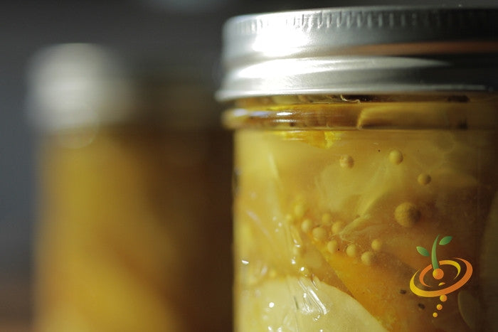 Jar of preserved lemon cucumber slices with seeds visible inside