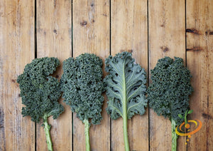 *FREE* All-in-1 Kale Seed Starter Kit (Blue Curled Scotch)