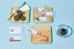 *NEW* The Seed Club