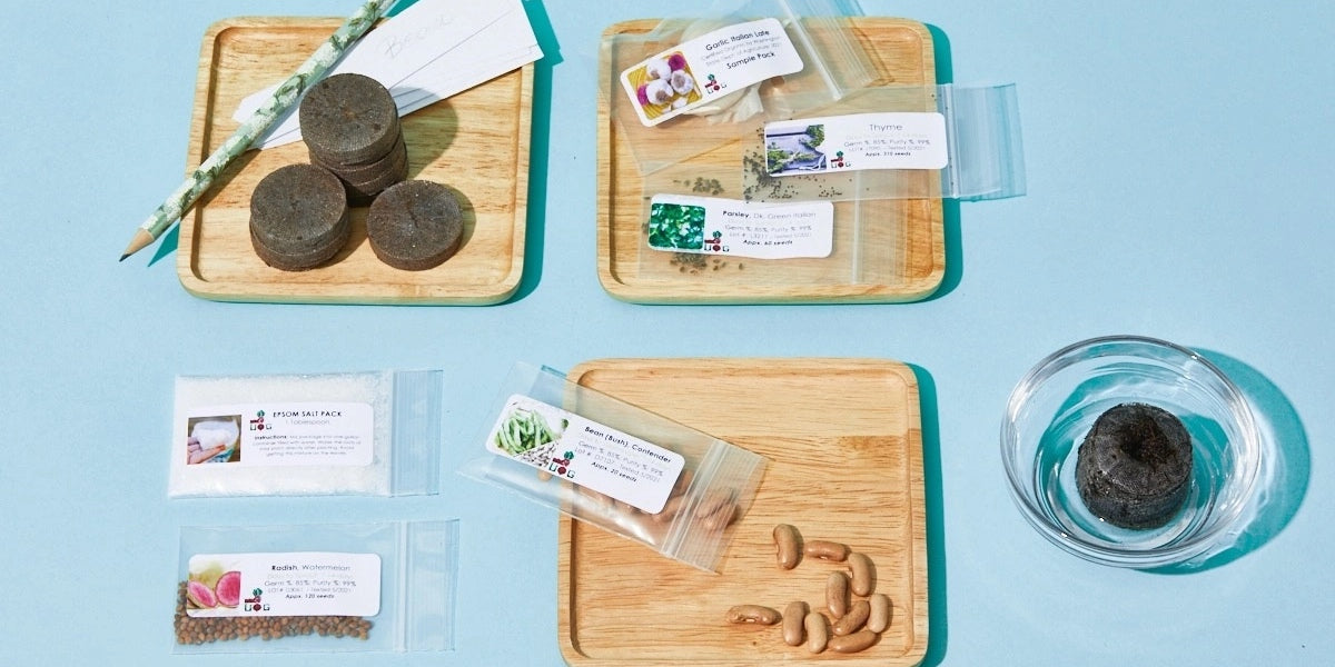 *NEW* The Seed Club