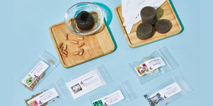 *NEW* The Seed Club