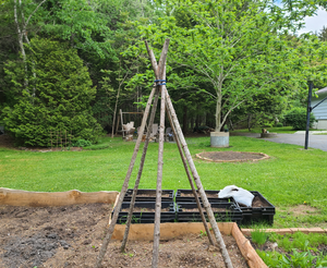 Vine teepee garden structure with climbing plants and seed variety pack