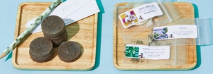 *NEW* The Seed Club