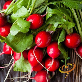 Bright red cherry radishes with green leaves from Champion seeds on a wooden surface