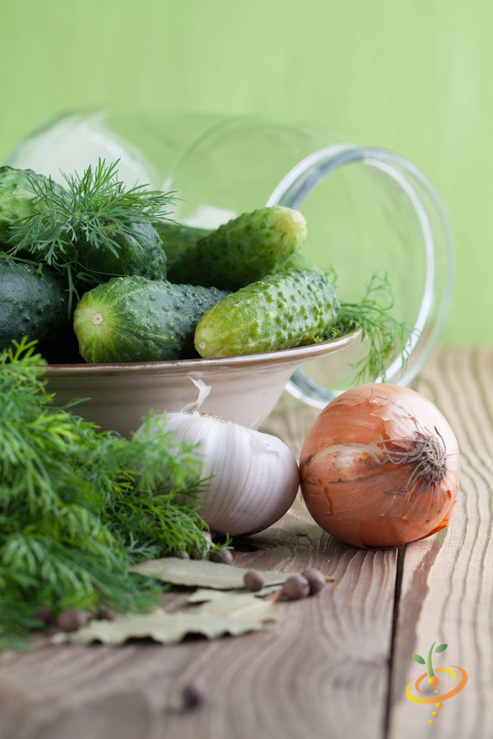 Cucumber - National Pickling.