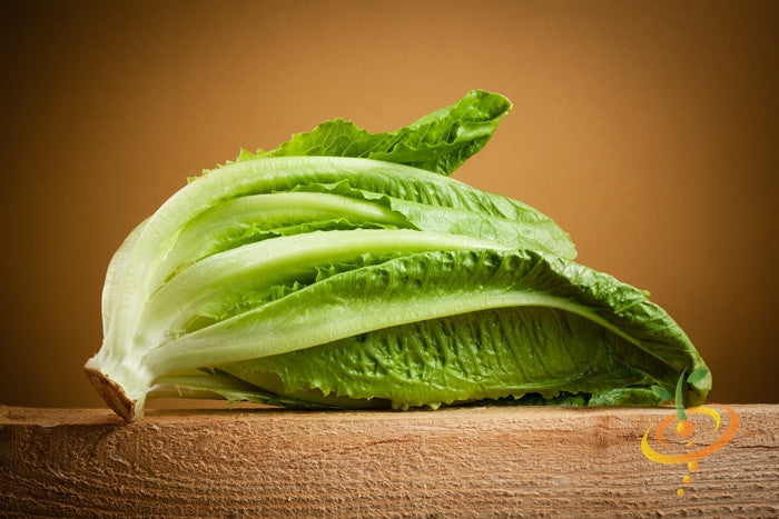 Lettuce - Romaine, Classic "Paris Island Cos".