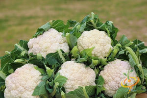 Cauliflower - All Year Round.