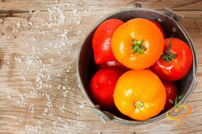 Tomato - Golden Sunray [INDETERMINATE].