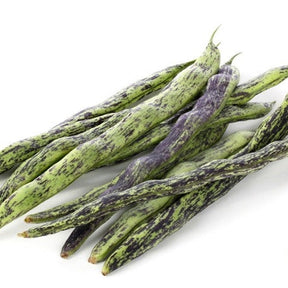 Green Rattlesnake pole beans growing on a vine, fresh and vibrant, from SeedsNow, ideal for home garden or farm cultivation.