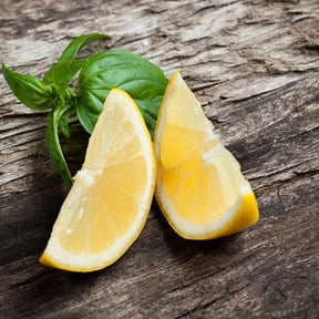 Buy Lemon Basil Seeds for sale online in the USA! | Fresh Lemon-scent!